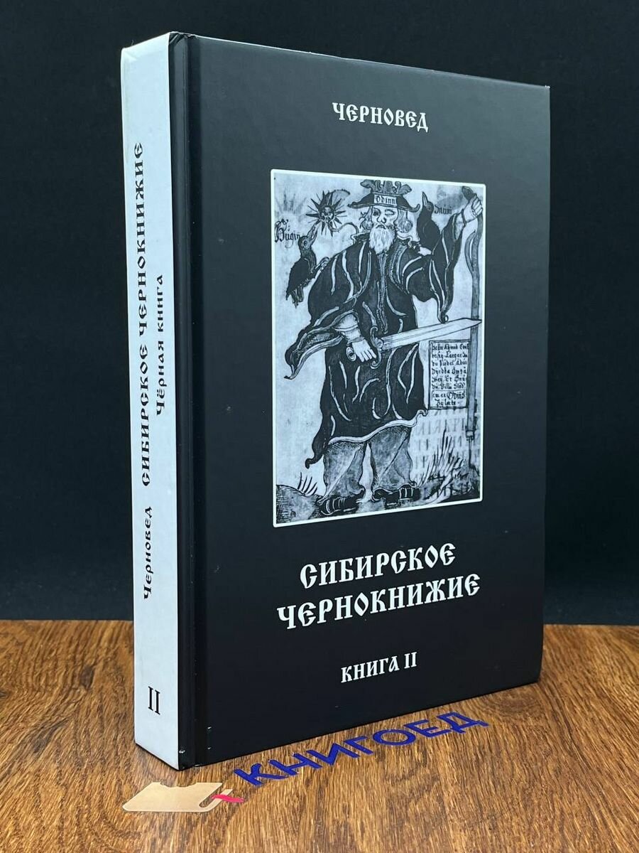 Сибирское Чернокнижие. Черная книга. Книга 2 - фото №5