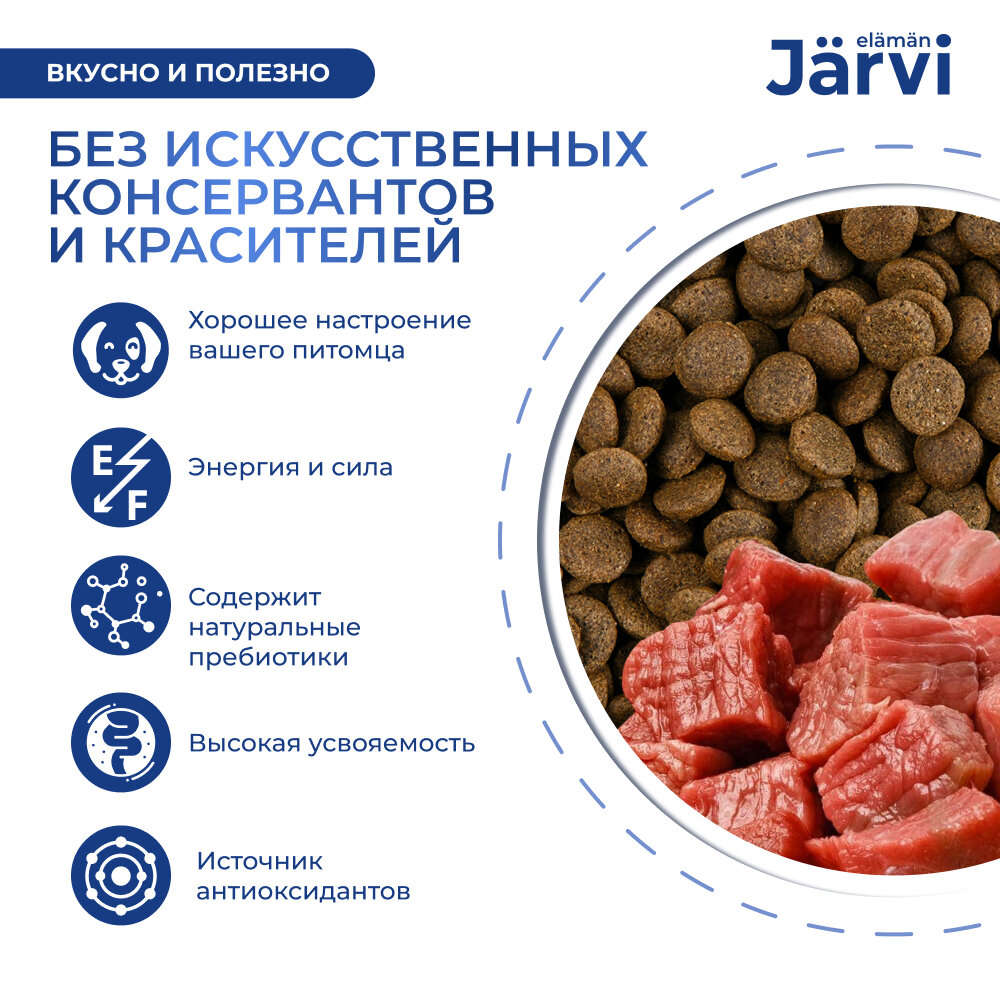 Jarvi сухой полнорационный корм для взрослых собак средних и крупных пород (Говядина, 400 г.) - фото №3