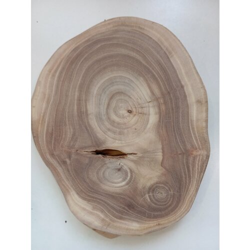 Спил дерева карагач , подставка, заготовка 19/15/2,0см
