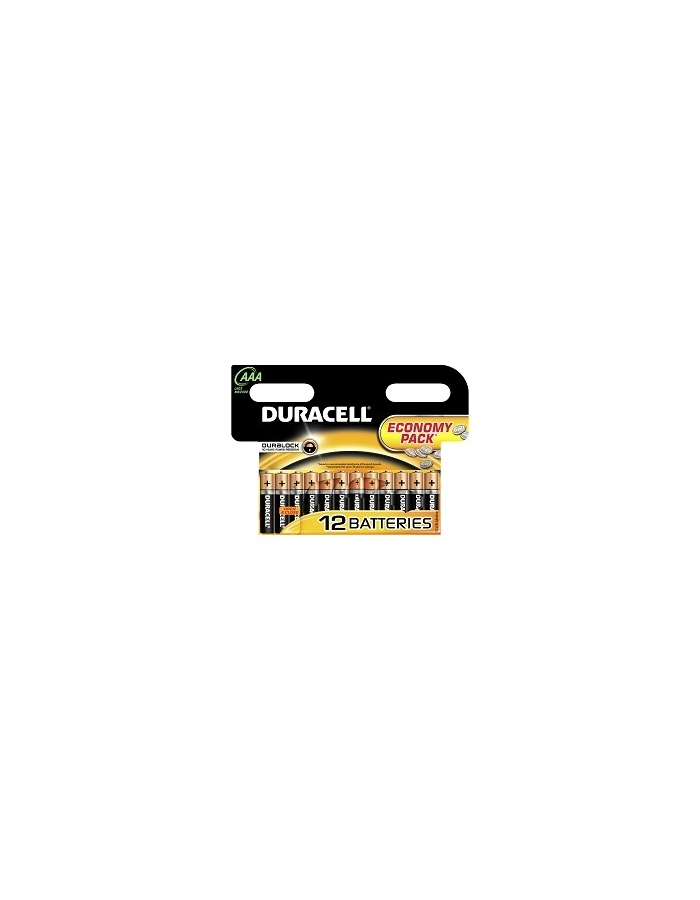 Батарейка DURACELL LR03-12BL BASIC AAA (12 шт. в уп-ке)