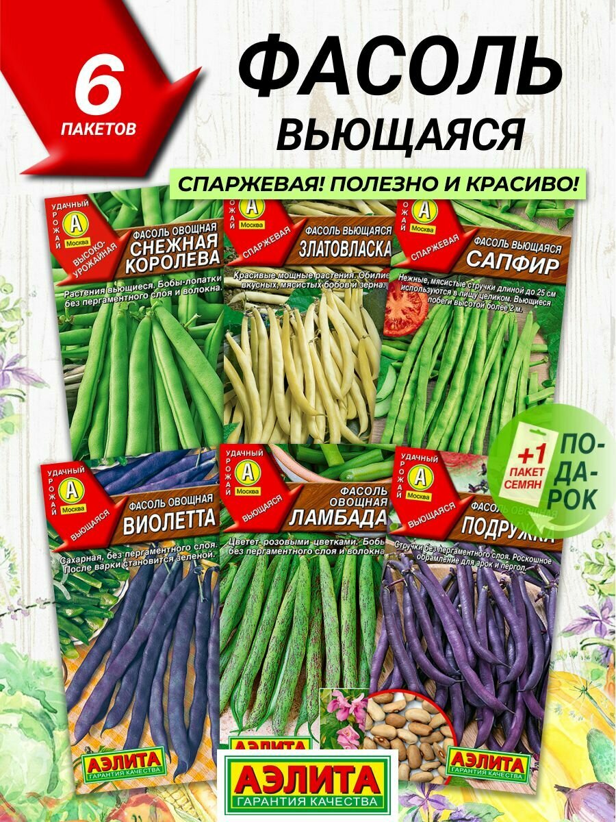 Семена овощей Аэлита Фасоль вьющаяся спаржевая 6 сортов / Семена Фасоли