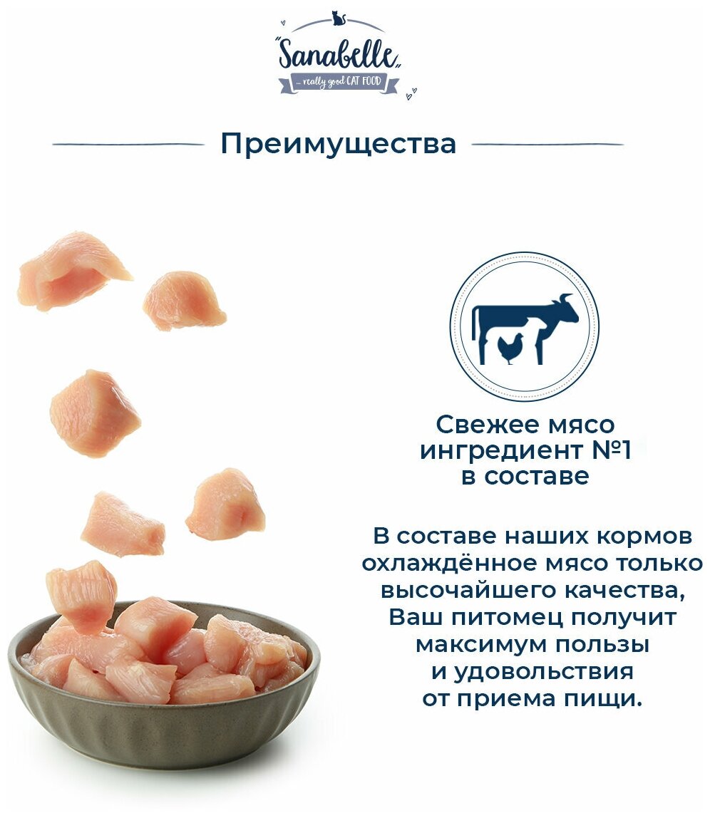 Sanabelle Senior Poultry Сухой корм для пожилых кошек с Птицей 10кг - фотография № 7