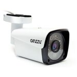 IP камера Ginzzu HIB-2301S - изображение
