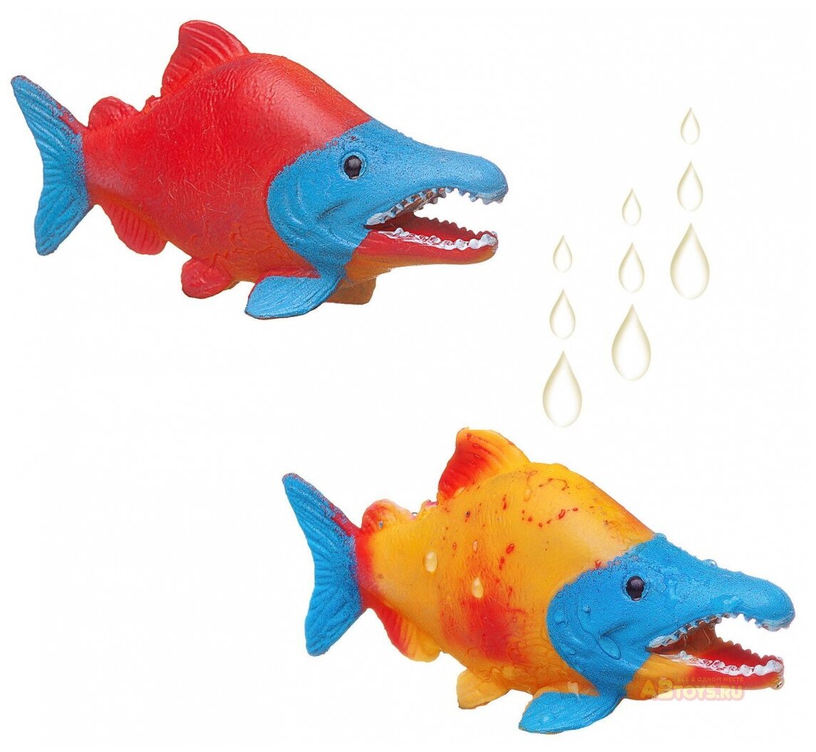 Фигурка ABtoys Юный натуралист Рыбка волшебная, меняет цвет в воде (1 шт. в пакете)
