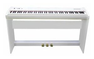 Цифровое пианино Sai Piano P-9