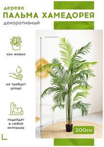 Искусственное растение дерево <b>Пальма</b> <b>Хамедорея</b> в кашпо, Магазин искусственных цветов №1, высота 200 см. <span>тип: дерево, материал растения: пластик, высота: 200 см</span>