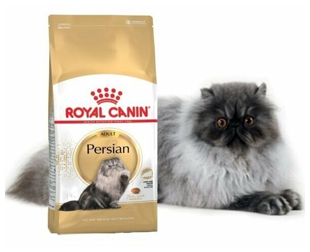 Корм Royal Canin PERSIAN питание для кошек персидской породы и для кошек экзотической короткошерстной породы в возрасте от 1 года и старше, 10кг - фотография № 1
