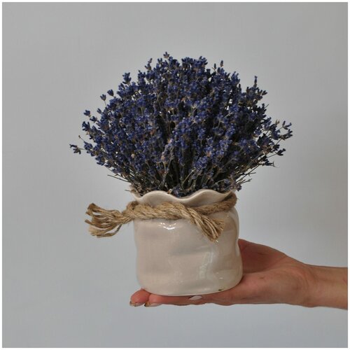 Лаванда в кашпо «Мешочек»