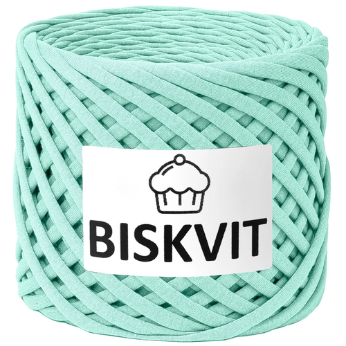 Трикотажная пряжа Biskvit цвет Тиффани трикотажная пряжа biskvit цвет вино