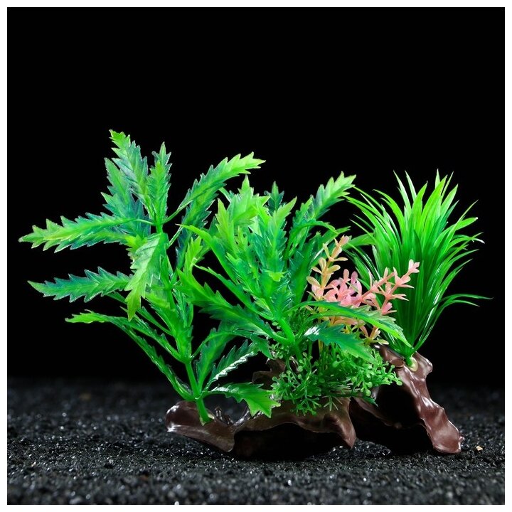 Растение искусственное аквариумное на платформе в виде коряги, 18 см, зелёное Пижон Аква 7524027 . - фотография № 1