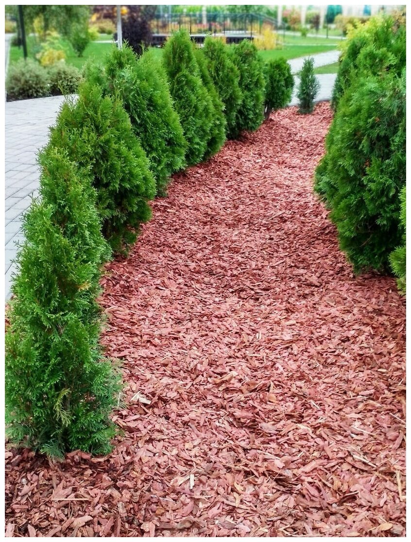 Кора лиственницы сибирской, средняя фракция 3-6 см, мульча для сада