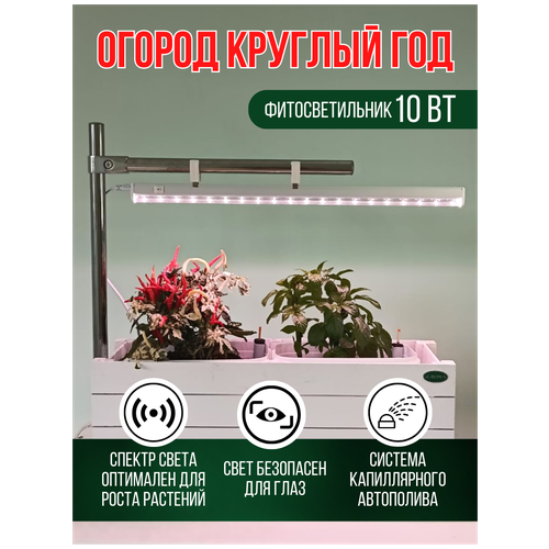 Умный сад/iGROWS/кашпо с автополивом/фитосветильник/гидропоника/58 см х22 см х 17 см/зеленый