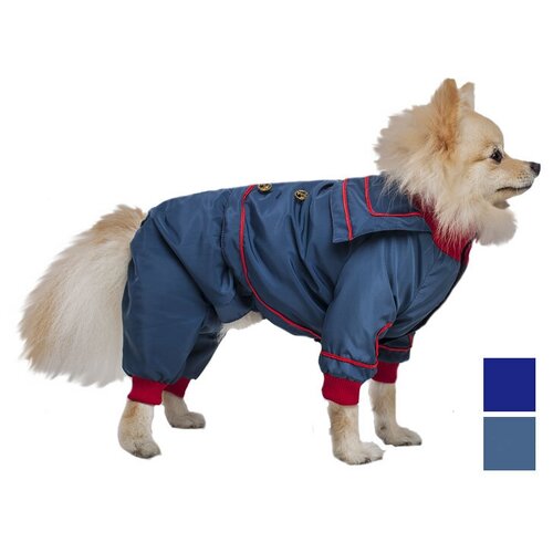 Одежда DogVille комплект 31225д полукомбинезон и куртка, на кнопках, демисезон