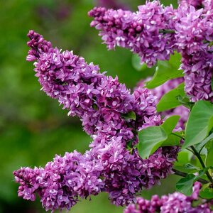 Основная фотография от вендора