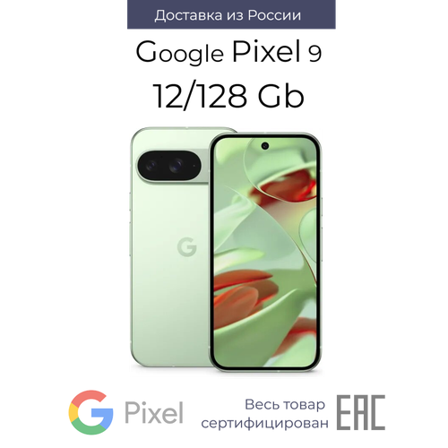 Google Pixel 9 12/128 ГБ Зеленый / Wintergreen (Global - US. CA. JP)