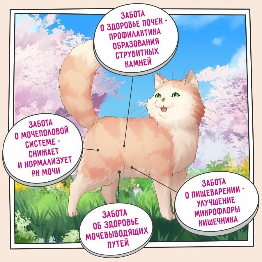 Корм сухой для кошек РН контроль 2 кг, гипоаллергенный ZILLII (Зиллии) Urinary Care Cat, Индейка — фото 1