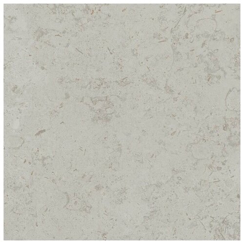 Керамогранит Kerama Marazzi Про Лаймстоун Серый светлый 60x60 матовый DD641000R (1.44 кв. м.)