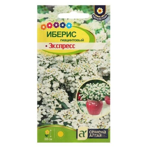 Семена цветов Иберис гиацинтовый Экспресс, ц/п, 0,1 г
