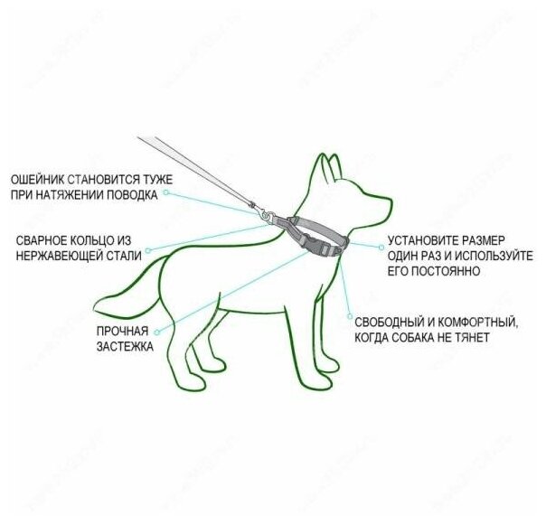 Схема ошейника для собак