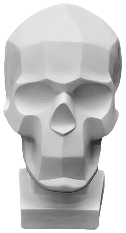 Гипсовая фигура анатомическая: обрубовка черепа по Баммесу, 23,5 х 16 х 27 см - фотография № 1