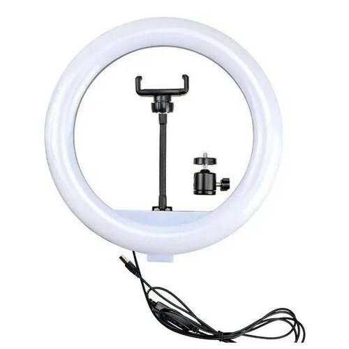 Кольцевая лампа BD-330 с пультом 124900₽