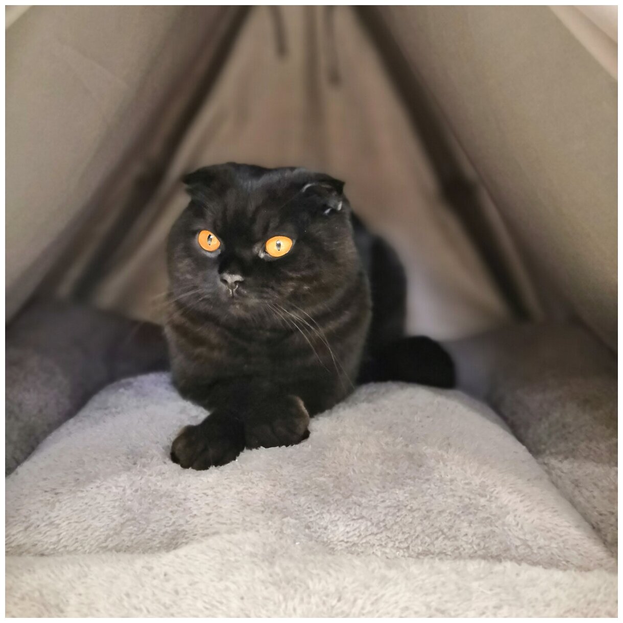 Домик палатка ВигВам для кошек и собак мелких и средних пород темно-серый - фотография № 6