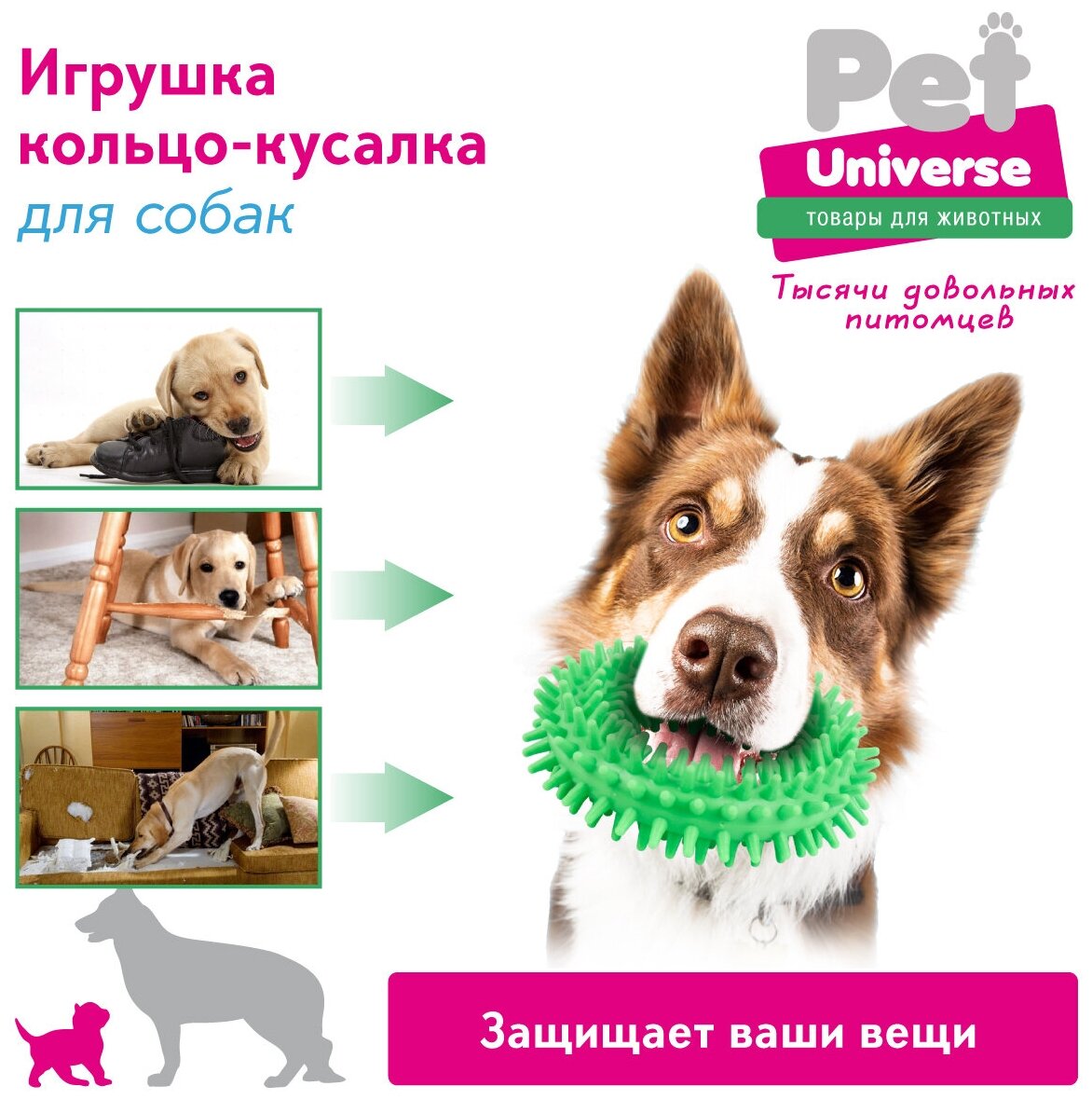 Игрушка для собак Кольцо с шипами Pet Universe. Игрушка для зубов для щенков и взрослых собак средних пород /10*3.5 см/PU3019RGN - фотография № 3