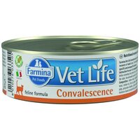 Влажный корм для кошек Farmina Vet Life Convalescence в период восстановления после болезни, беззерновой 85 г (паштет)