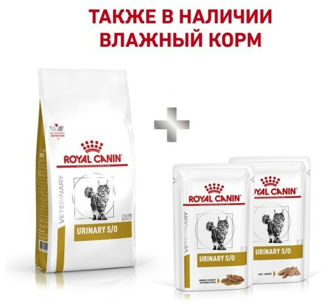 Корм Royal Canin Urinary S/O для кошек при МКБ, 3.5 кг - фотография № 5