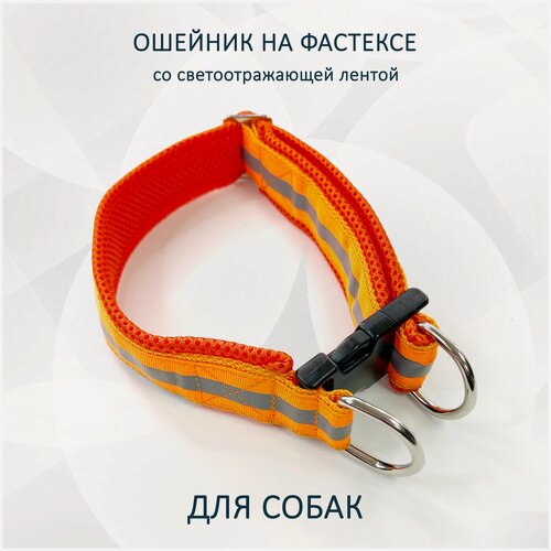 Изображение товара Ошейник totemica для собак со светоотражающей лентой "Апельсин" с регулировкой на застёжке (фастексе) S