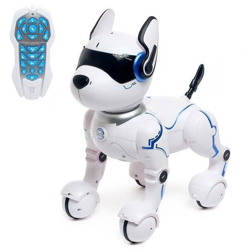 Робот - собака, радиоуправляемый Фьючер, русское озвучивание, работает от аккумулятора робот собака