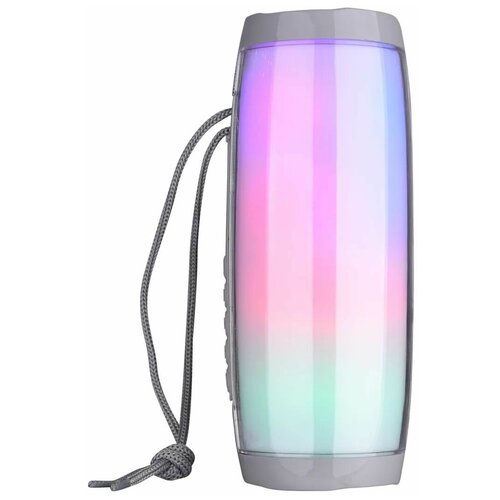 Портативная акустика T G TG157 серый 133500₽