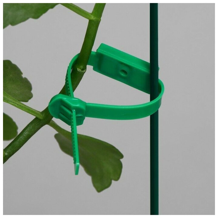 Greengo Набор подвязок для растений, 14 см, набор 20 шт., пластик - фотография № 10