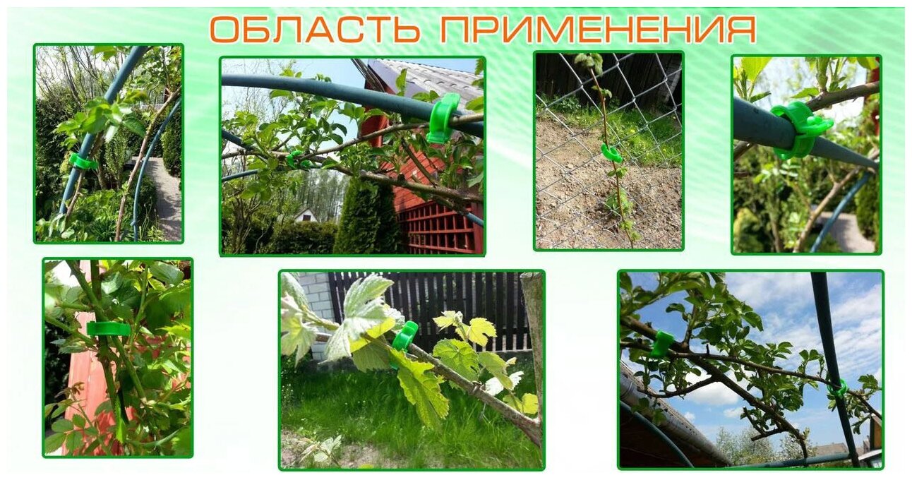 Greengo Кольцо-фиксатор для растений, d = 20 мм, набор 100 шт., зелёный - фотография № 7