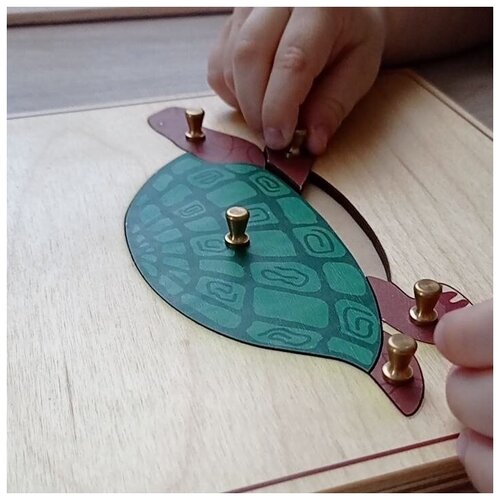 Строение черепахи пазл