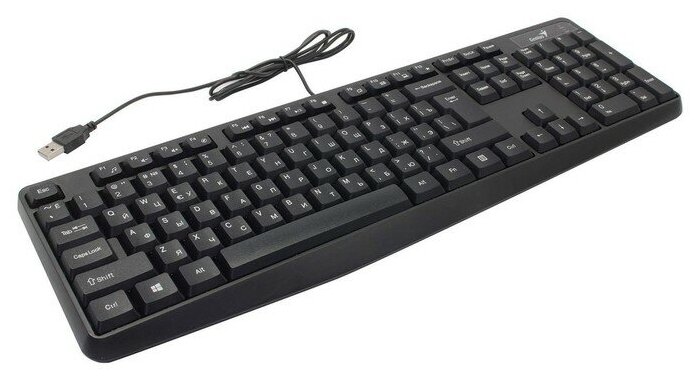 Клавиатура Genius KB-117 (31310016402), USB, черный