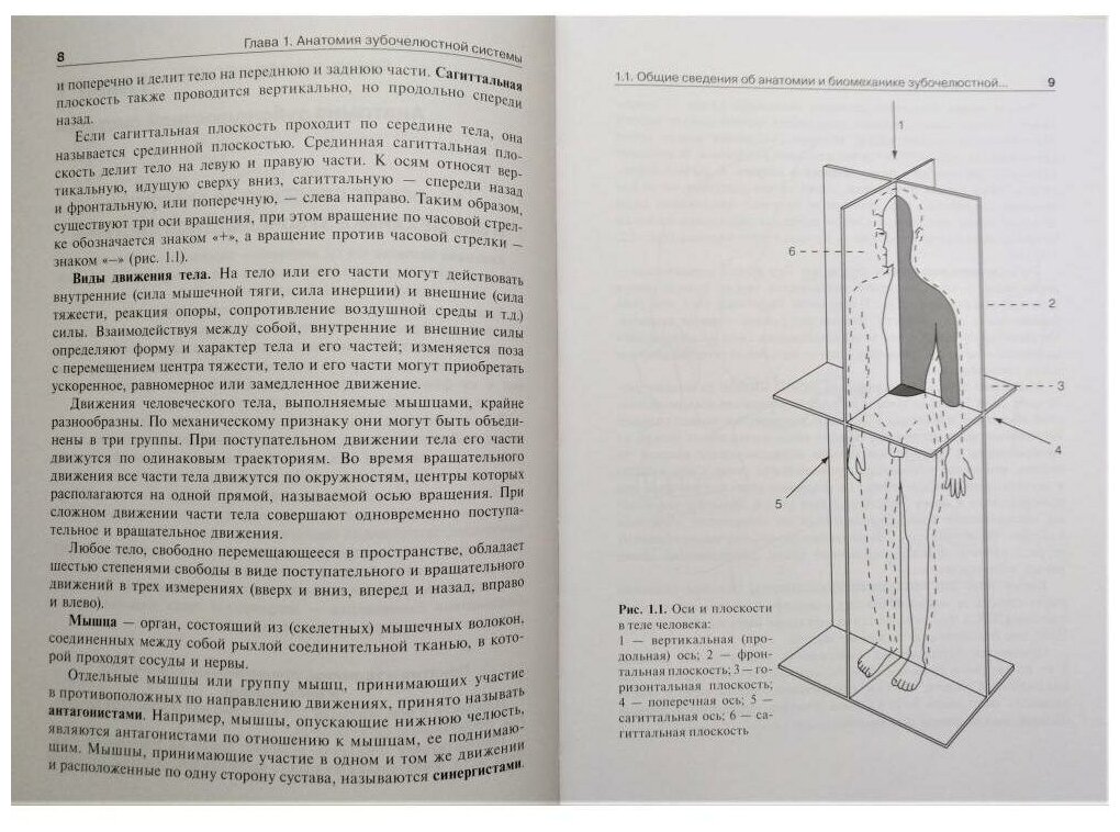 Анатомия, физиология и биомеханика зубочелюстной системы. Учебник - фото №4