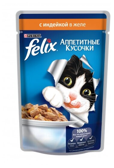 Влажный корм для кошек Felix Аппетитные кусочки, с индейкой 85 г (кусочки в желе) - фотография № 19