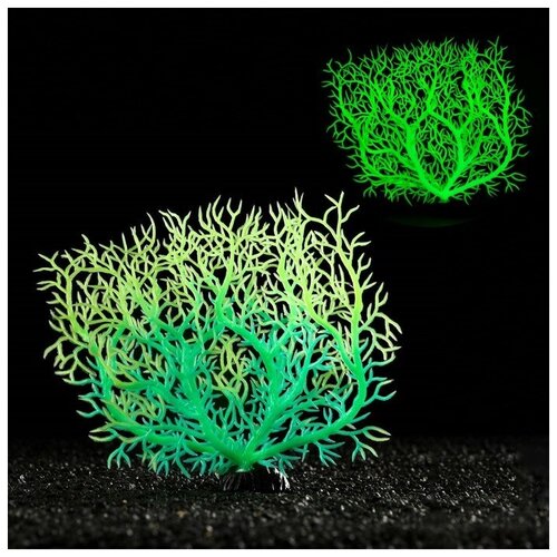 Растение аквариумное Пижон Аква искусственное, светящееся, 15 см, зеленое