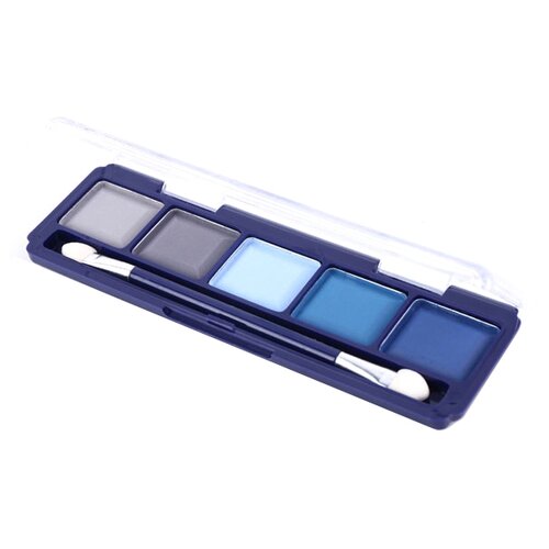 Купить Farres cosmetics Тени для век 5-и цветные 1109 тон 05, фиолетовый/синий/оливковый