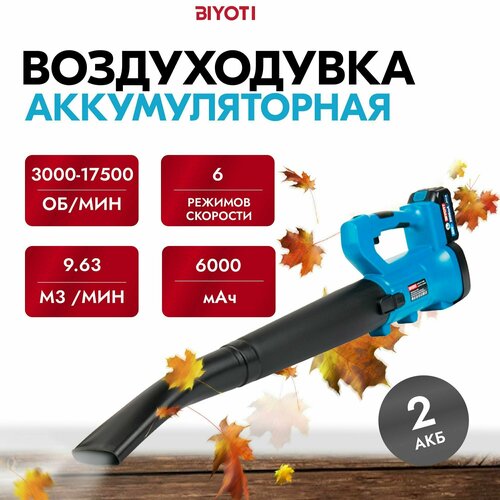 Воздуходувка аккумуляторная BIYOTI