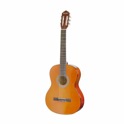 Классическая гитара Barcelona CG6 4/4 barcelona cg36bk 4 4