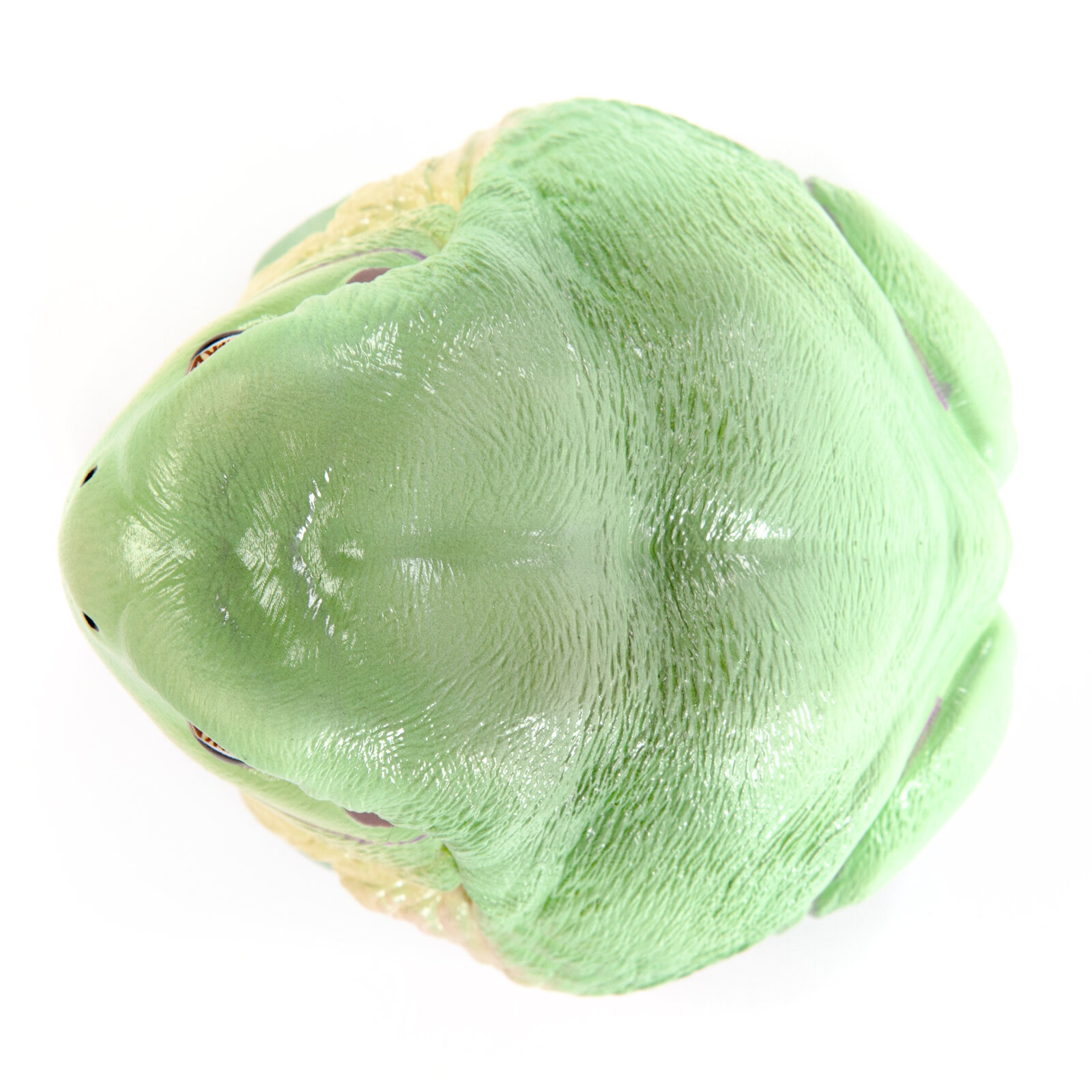 EXOPRIMA Фигурка лягушки-литории, светло-зелёная EXOPRIMA фигурки - фото №5