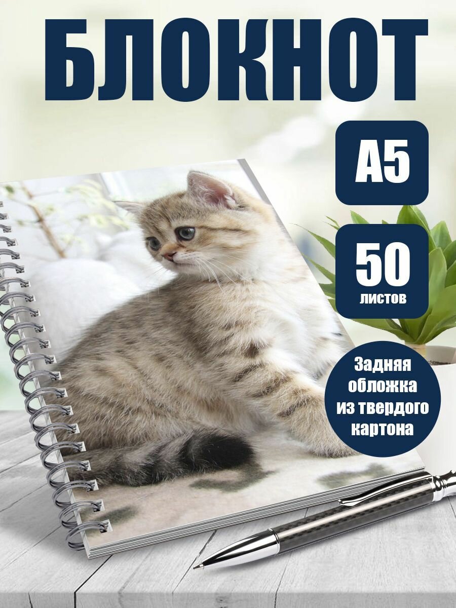 Блокнот Кошки