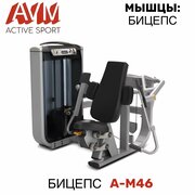 Профессиональный силовой тренажер для зала Бицепс A-M46