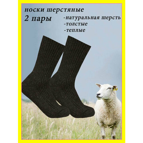 Носки , 2 пары, размер 41/42, коричневый носки мужские теплые из овечьей шерсти