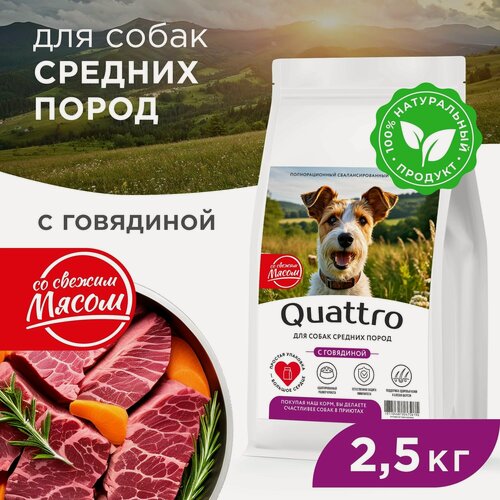 Изображение товара Корм сухой для взрослых собак средних пород, премиум полнорационный сбалансированный, с говядиной, 2,5 кг, QUATTRO