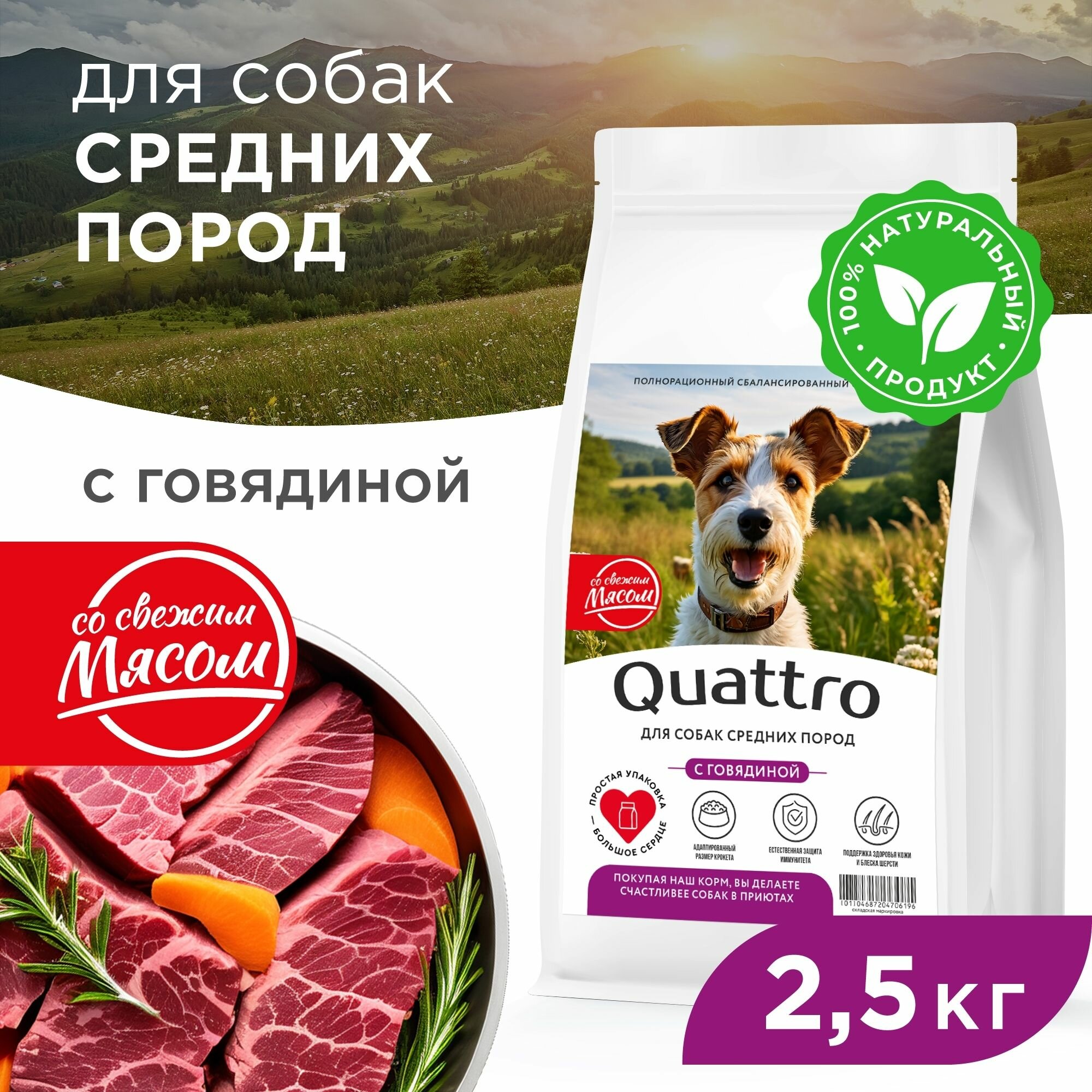 Корм сухой для взрослых собак средних пород, премиум полнорационный сбалансированный, с говядиной, 2,5 кг, QUATTRO