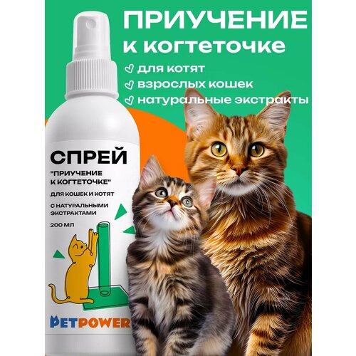 Корректирующий спрей для приучения кошек к когтеточке 375₽