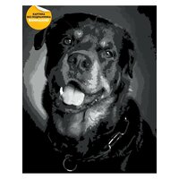 Живопись по номерам красками холст без подрамника 40х50 см Собака. Домашний питомец. Ротвейлер. Амстафф. Бультерьер. Мастиф.  ...